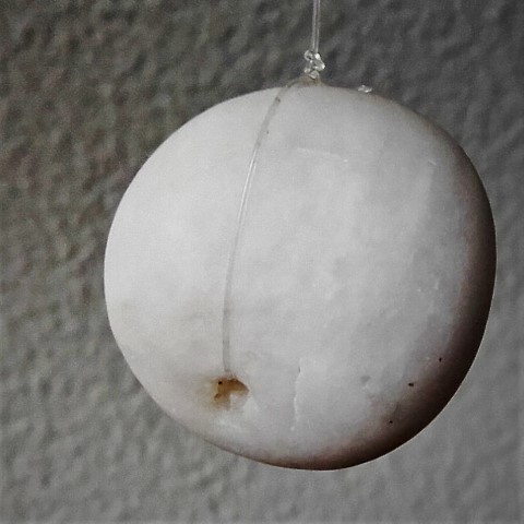 bonica