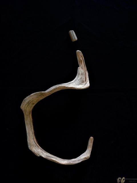 1 (Small)
