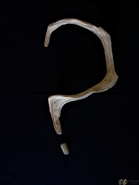 2 (Small)