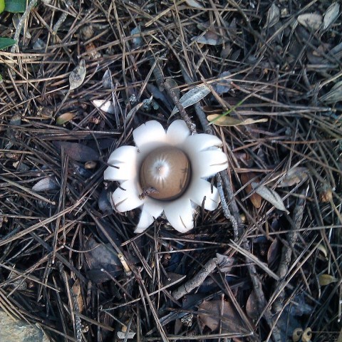 20121202 (Small)