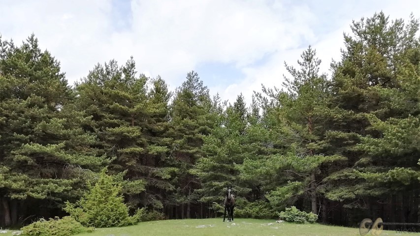 sdr