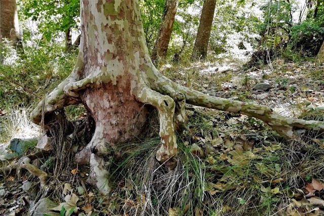 20190823 (Small) 3.2