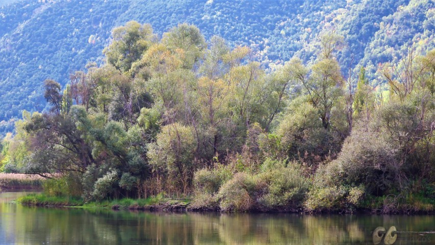 20201010 (Small)