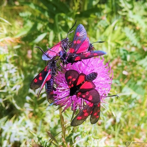 20220627 (Small)