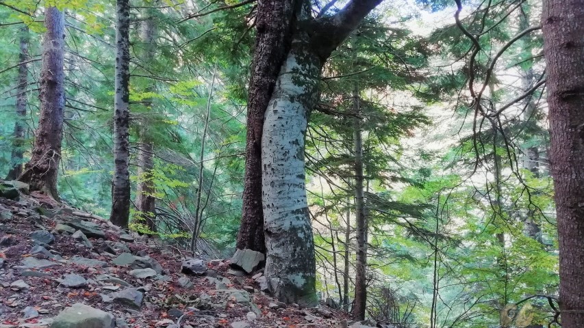 Abraçada12 (Small)