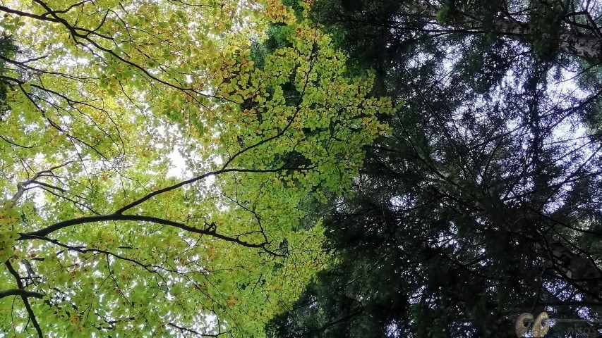 Abraçada15 (Small)
