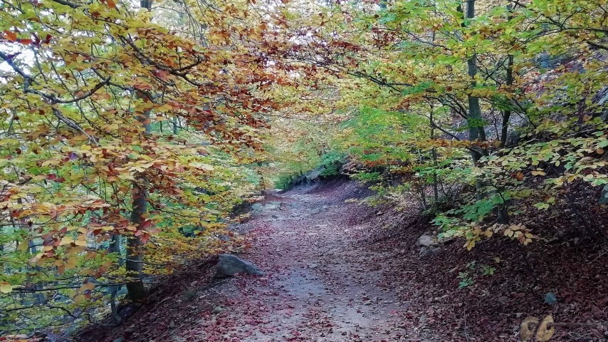 Abraçada16 (Small)