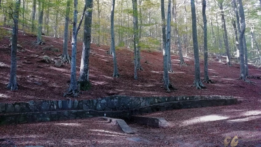 Abraçada2 (Small)