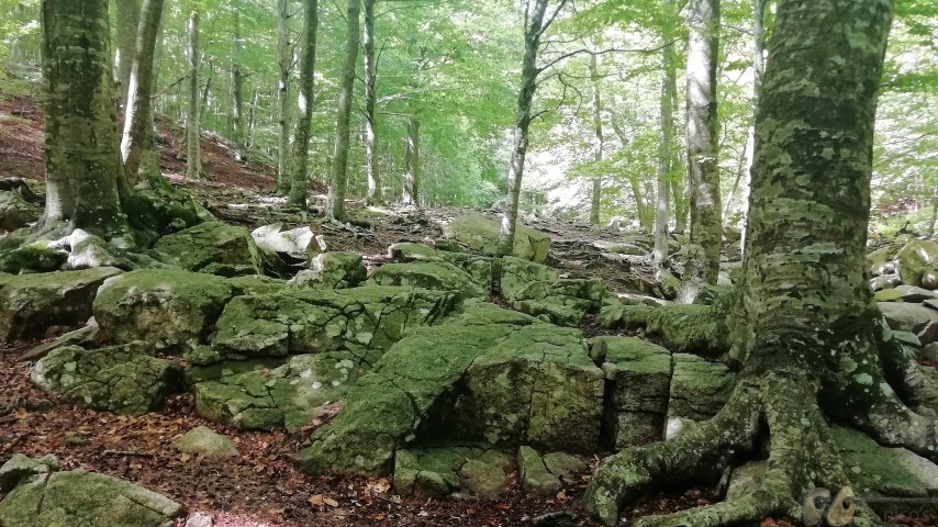 Abraçada8 (Small)