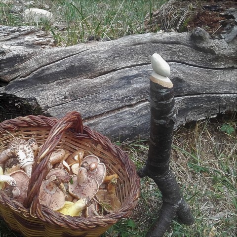 menjar-te (Small)