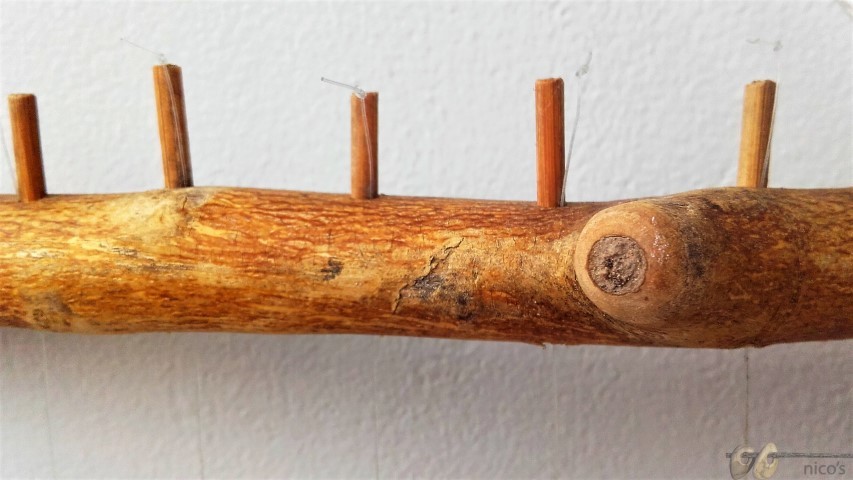 ple (Small)