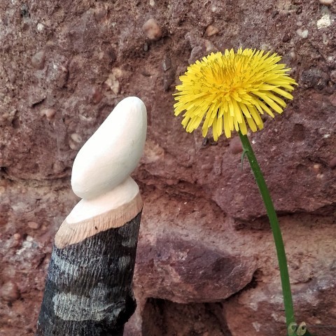 respirar-te(Small)