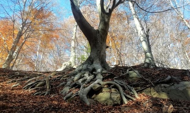 20211117 (Small) (3.2) (2)