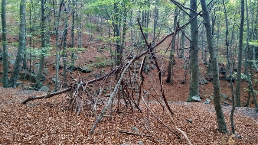 20221103_123936 (Small)