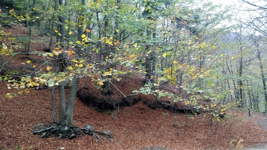 20221103_130405 (Small)
