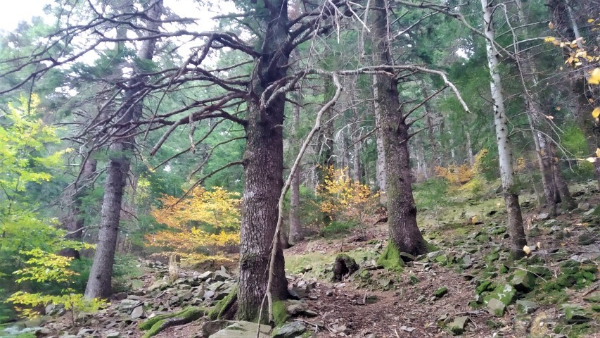 20221103_130742 (Small)