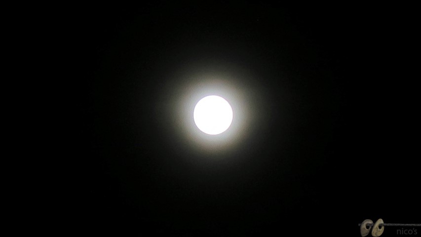 IMG_5802 (Small)