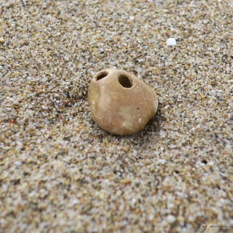 IMG_5848 (Small)