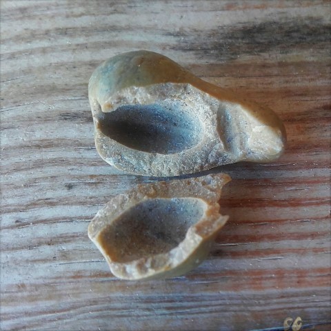 20171027_131650 (Small)