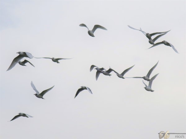 IMG_5883 (5) (Small)