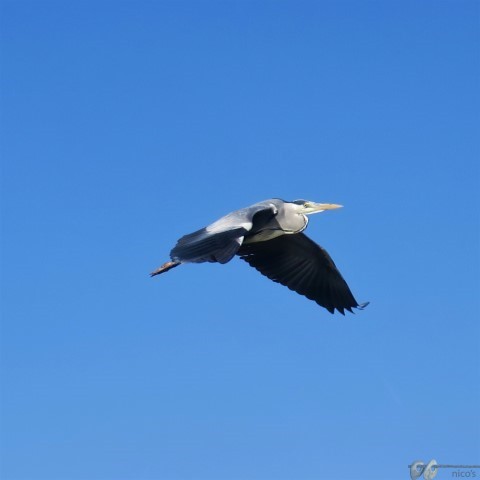 IMG_6011 (Small)