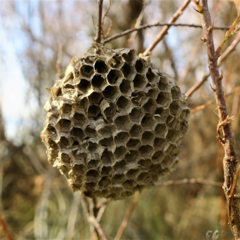 IMG_4207 (Small)