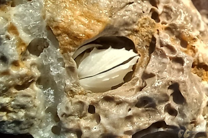 20230922-2 (Small)