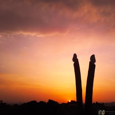 20170802-2 (Small)