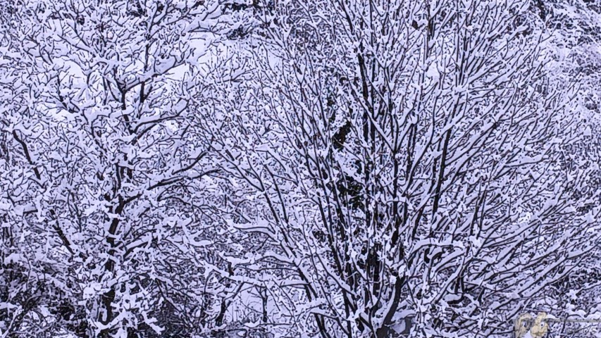 20240308_091450-2 (Small)