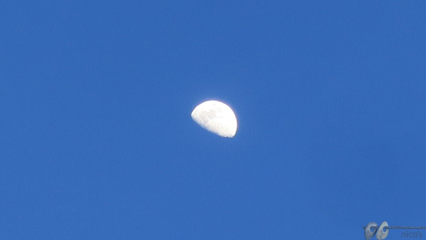 2024-03-18 (Small)