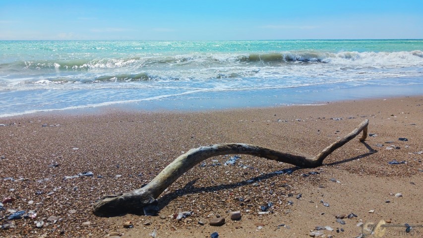 20240423_131613-2 (Small)