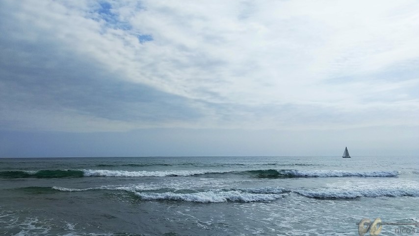 20220227 (Small)