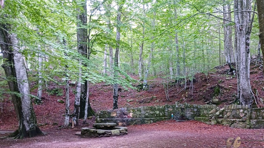 20240612_135018 (Small)
